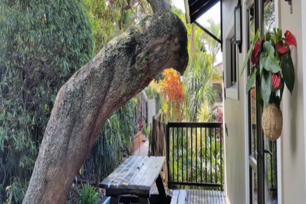 Crooked Tree Cottage