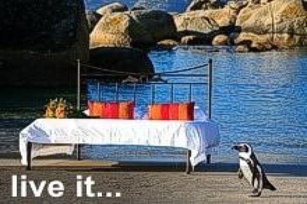 Cape Point Route