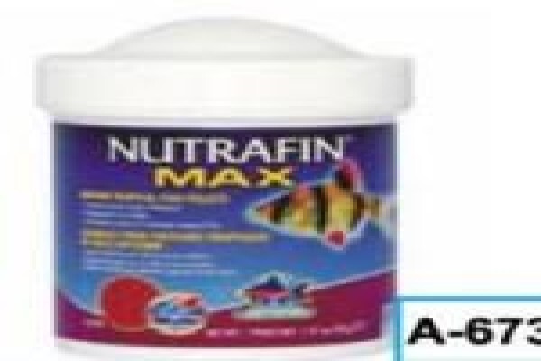 Pets Aquaria