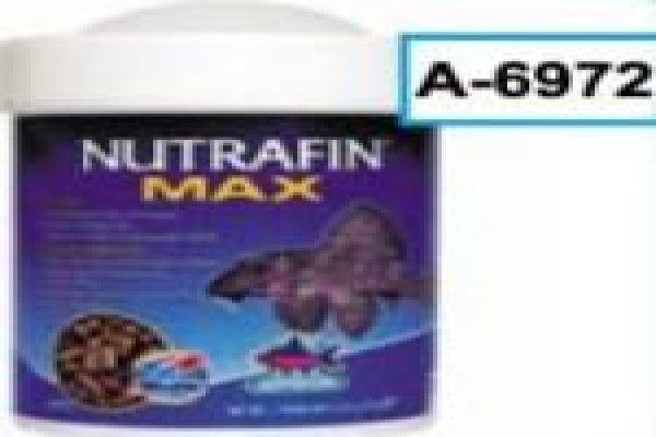 Pets Aquaria