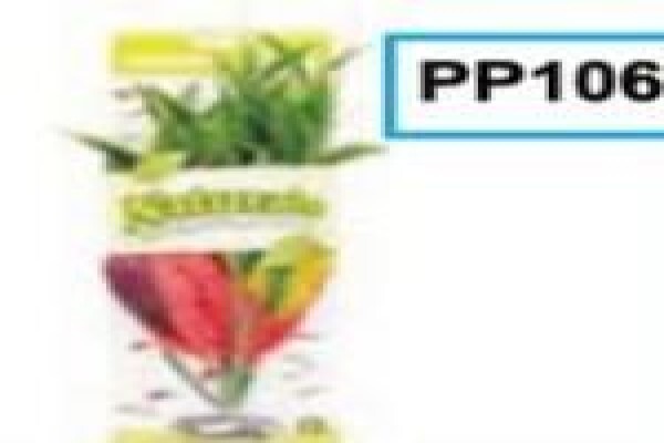 Pets Aquaria
