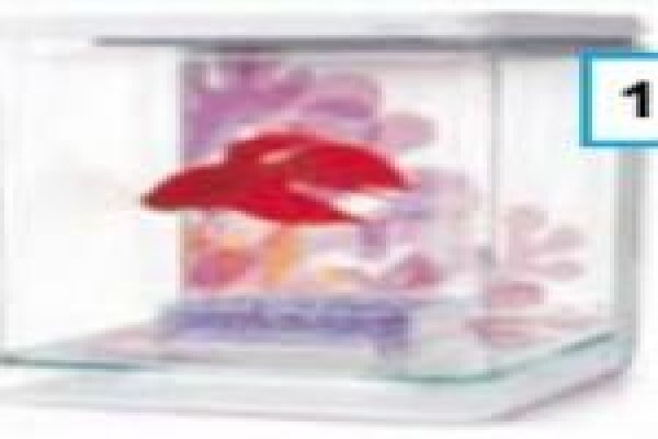 Pets Aquaria