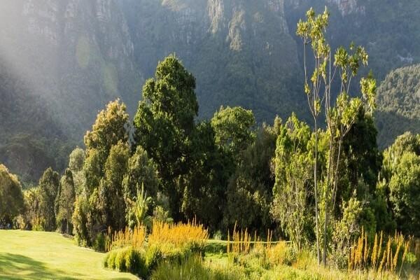 Carmichael Guest House & Conference Centre