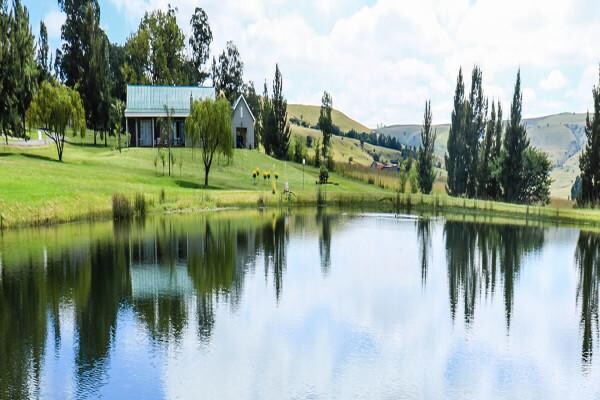 Newcastle Country Lodge