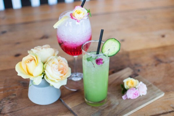 Ludwig's Roses