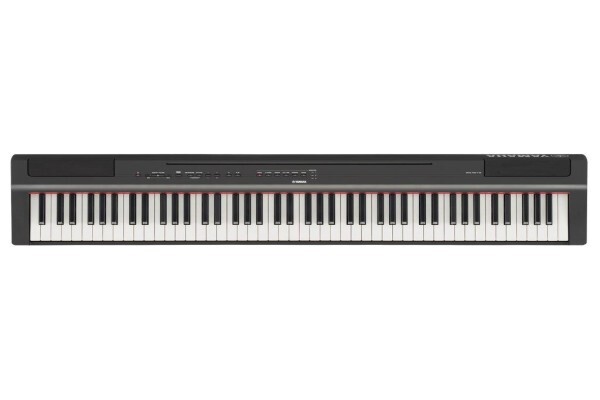 Paul Bothner Music