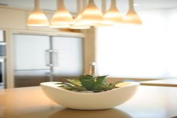 Tropicana Indoor Plant CC