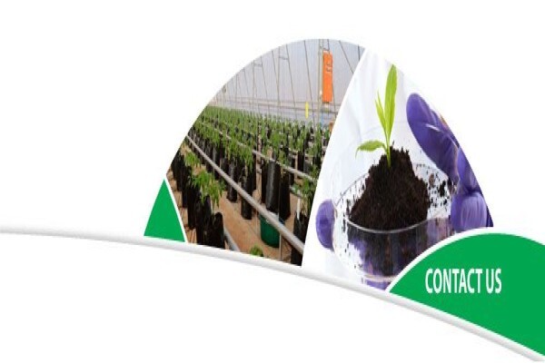 Starke Ayres (Pty) Ltd