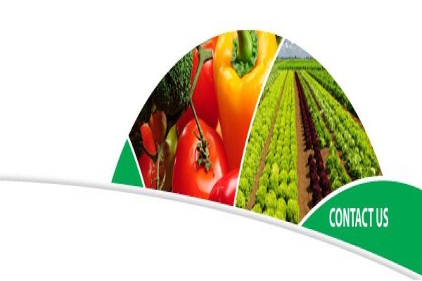 Starke Ayres (Pty) Ltd