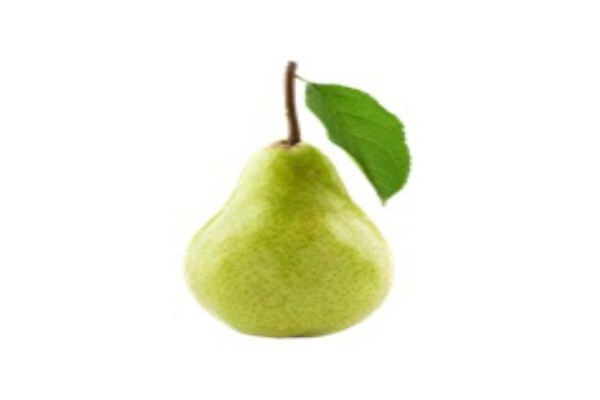 Bio Revolution