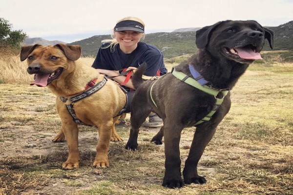 Animal Rescue & Homing