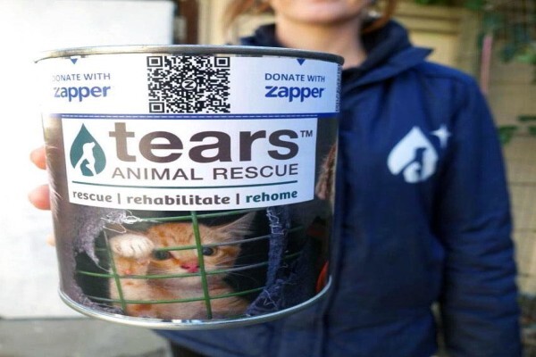 Animal Rescue & Homing
