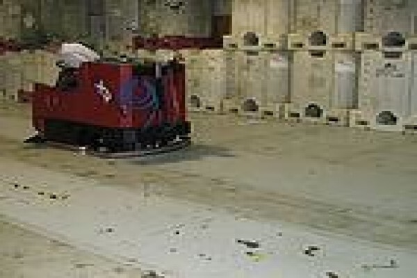Factory Cat