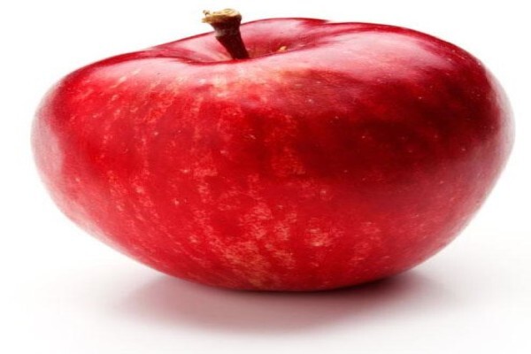 Star South Fruits