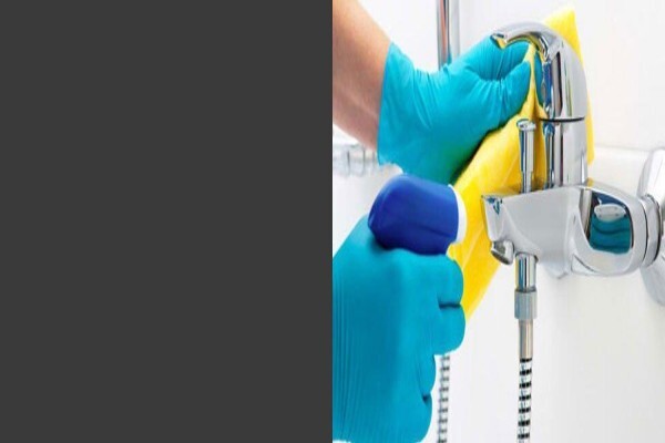 Hygiene & Bugs 'R' Us
