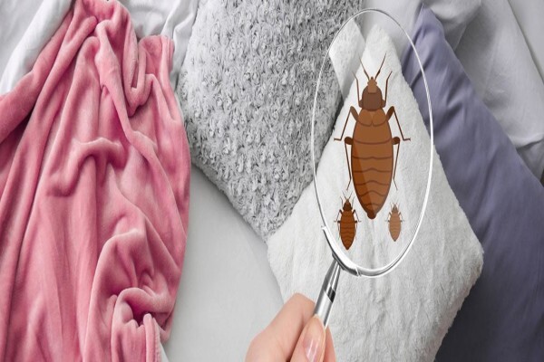 Hygiene & Bugs 'R' Us