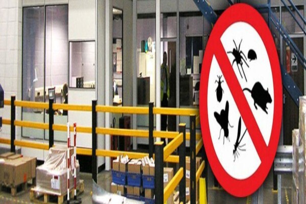 Hygiene & Bugs 'R' Us