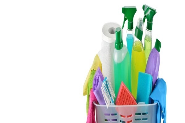 Hygiene & Bugs 'R' Us
