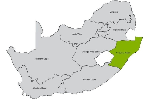 South African Transport & Allied Workers Union