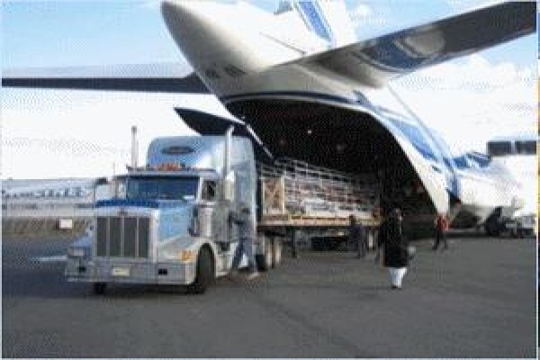 Johannesburg Express Cargo CC