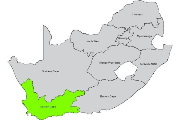 South African Transport & Allied Workers Union