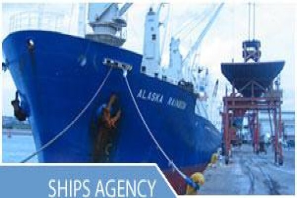Greg Fish Agencies CC