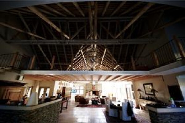 Highveld Cape Thatchers