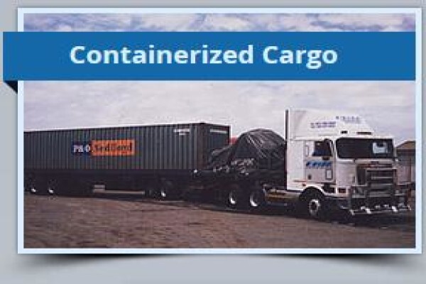 F D N Transport Services