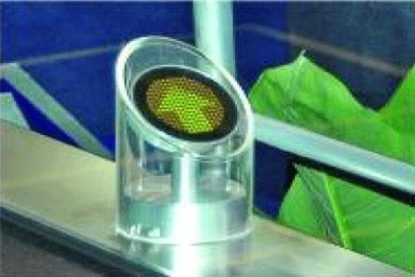 United Elevators (Pty) Ltd