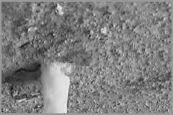 Injection waterproofing