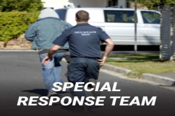 Mountain Security Services CC