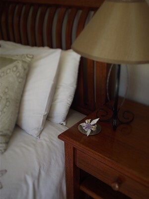 Manor House Bed & Breakfast