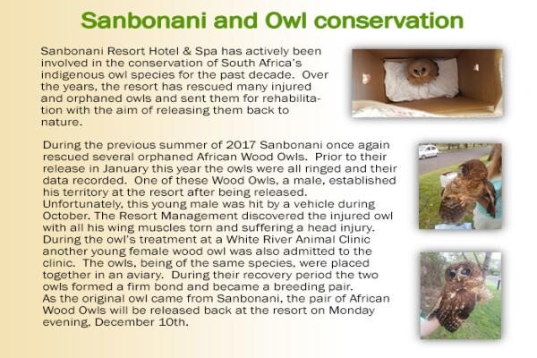 Sanibonani Game Lodge