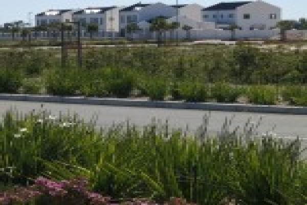 Exar Development & Construction