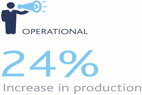 International Ferro Metals (SA) Holdings