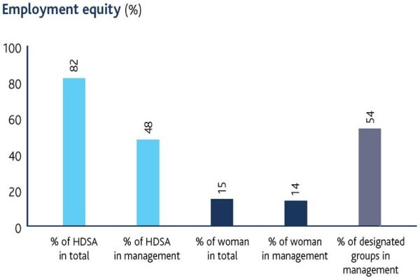 International Ferro Metals (SA) Holdings