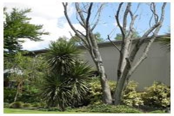 Town & Country Guest House