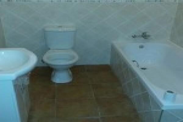 Cactus Plumbing