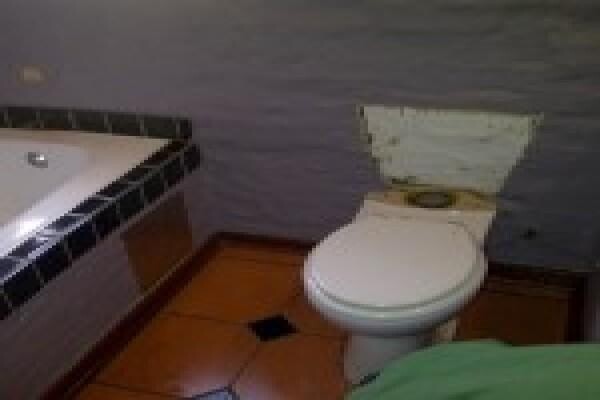 Cactus Plumbing