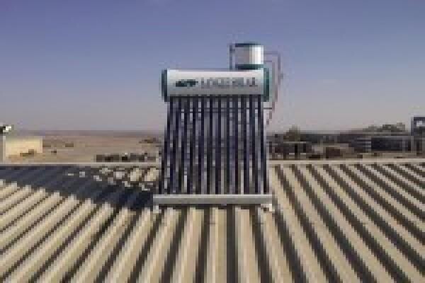 Cactus Plumbing