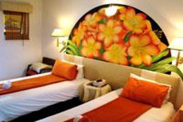 El Gecko B & B