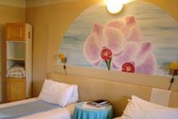 El Gecko B & B