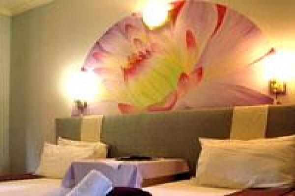 El Gecko B & B
