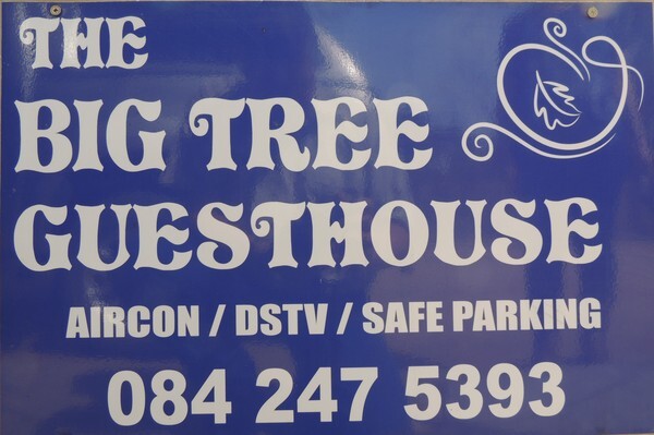 The Big Tree Guest House