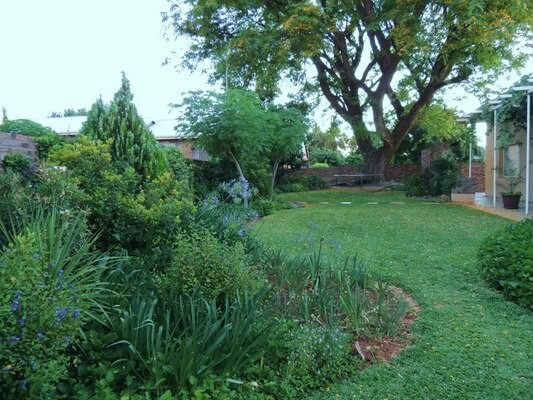 The Big Tree Guest House