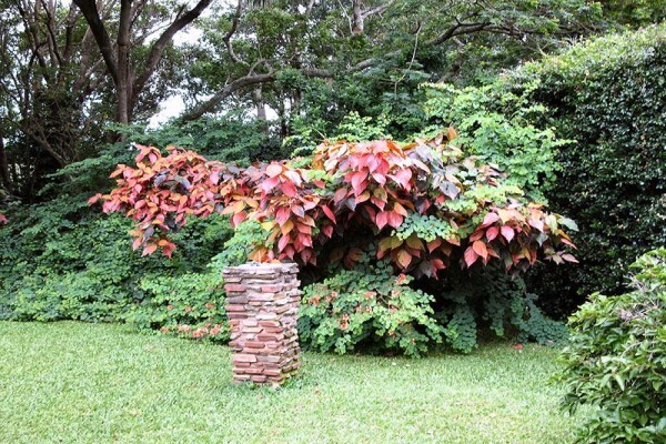 Mdoni House Guest Lodge