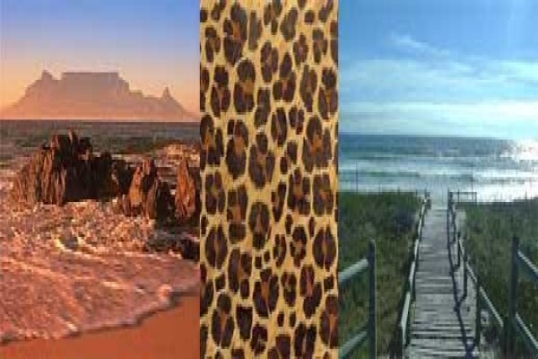 Myoli Accommodation