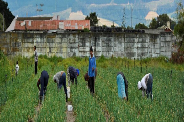 Philippi Economic Development Initiative