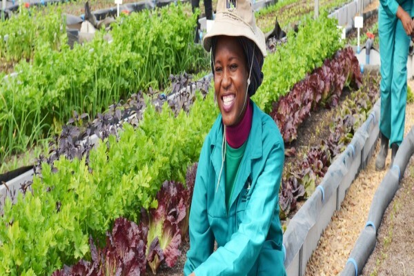 Philippi Economic Development Initiative