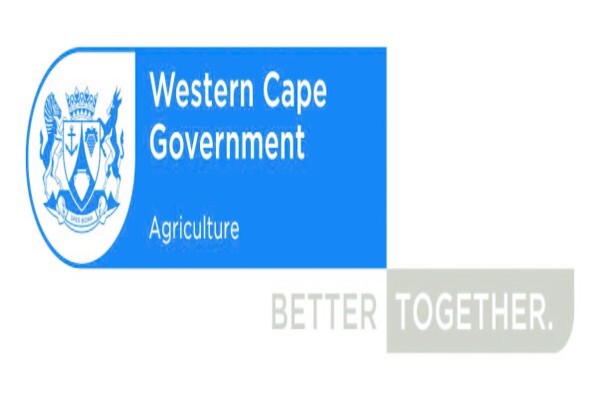Philippi Economic Development Initiative